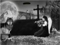 /album/diseno-publicitario/a303131-2385690317509-1709413346-n-jpg/